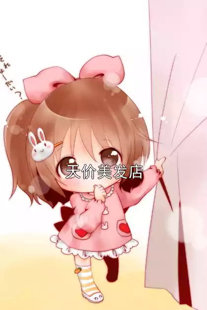 天价美发店小说