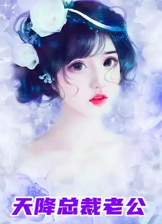 天降总裁老公