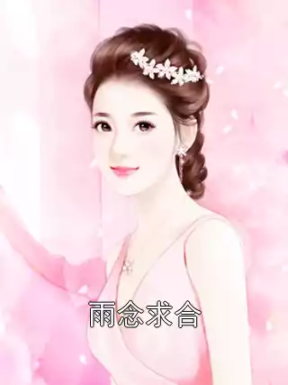 雨念求合小说