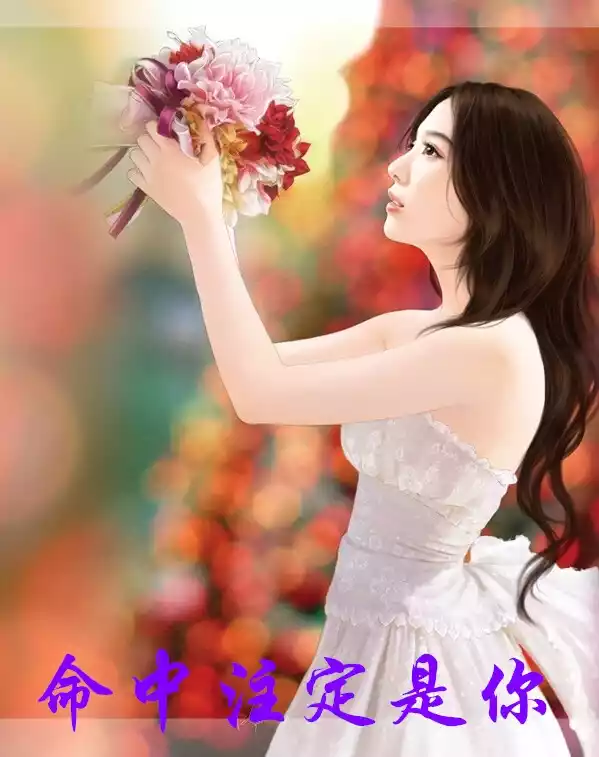 命中注定是你