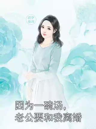 因为一碗汤，老公要和我离婚小说