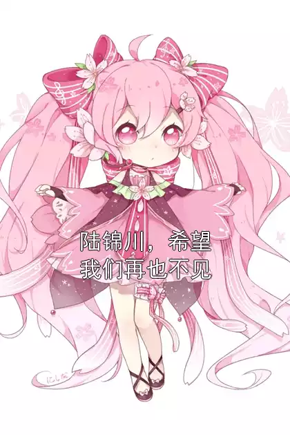 陆锦川，希望我们再也不见