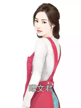 昭文君