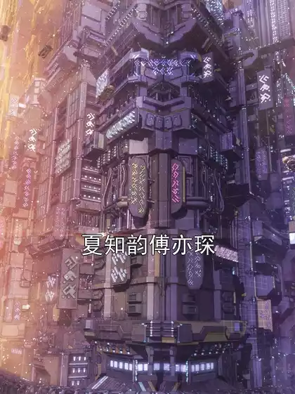 夏知韵傅亦琛小说