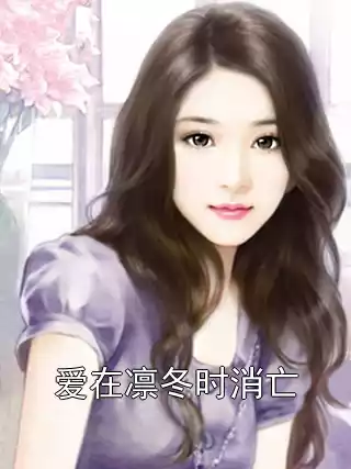 爱在凛冬时消亡小说