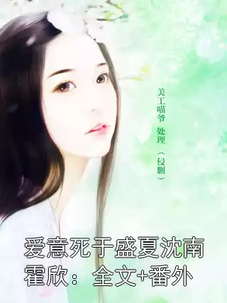 爱意死于盛夏沈南霍欣：全文+番外