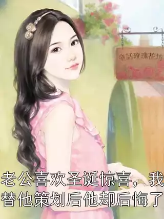 老公喜欢圣诞惊喜，我替他策划后他却后悔了小说