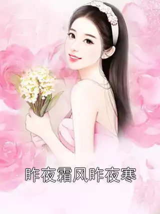 昨夜霜风昨夜寒小说