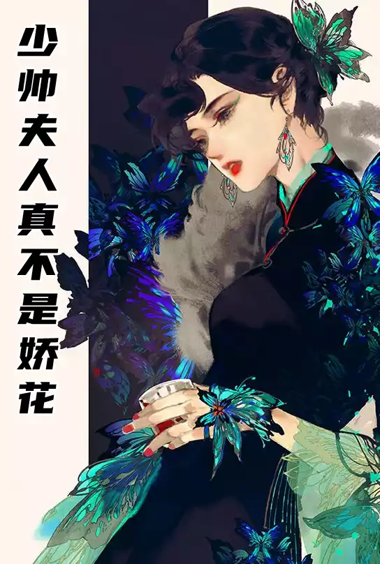 少帅夫人真不是娇花