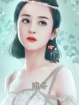 唯冬小说