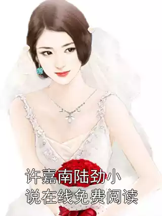 许嘉南陆劲小说在线免费阅读