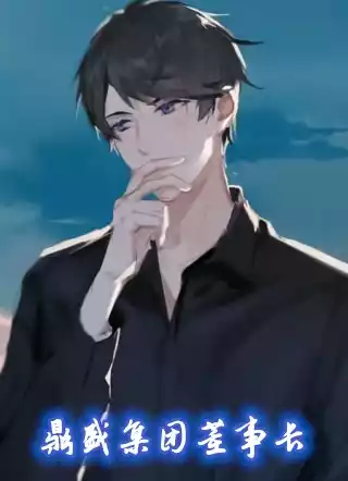 鼎盛集团董事长