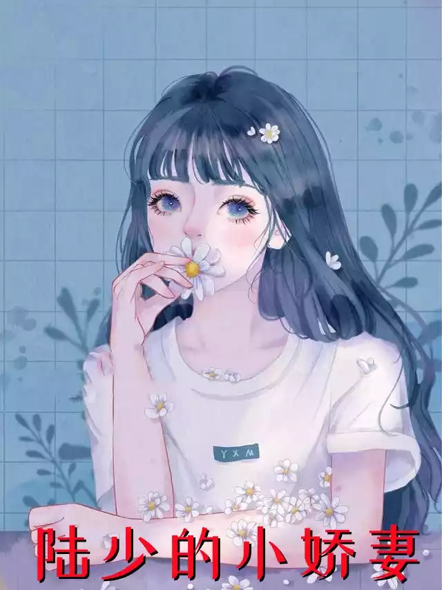 陆少的小娇妻
