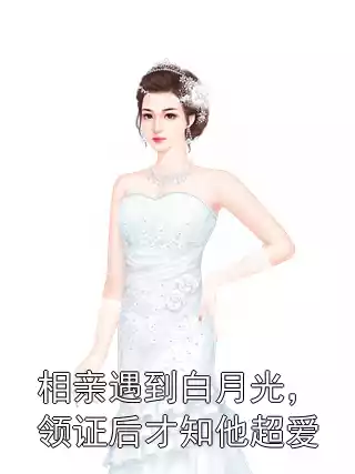 相亲遇到白月光，领证后才知他超爱小说