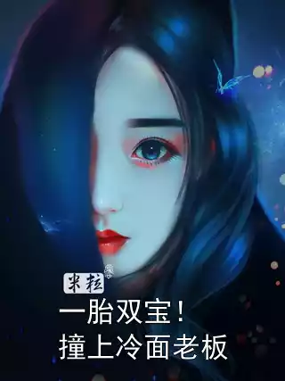 一胎双宝！撞上冷面老板小说