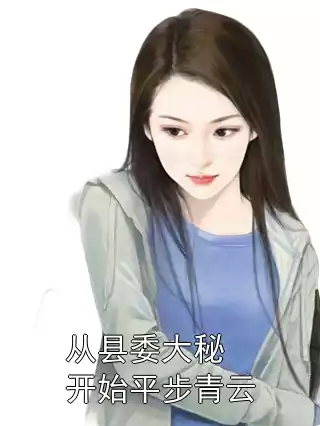 从县委大秘开始平步青云小说
