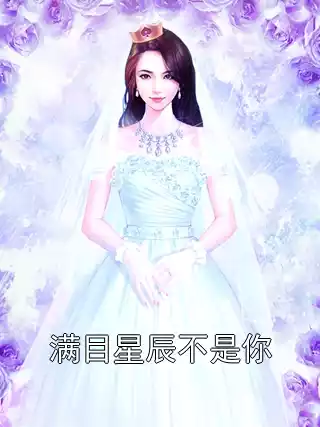 满目星辰不是你
