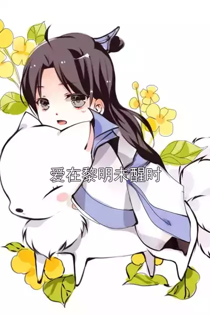 爱在黎明未醒时小说