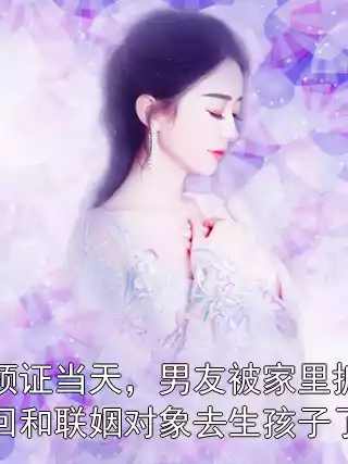 领证当天，男友被家里抓回和联姻对象去生孩子了小说