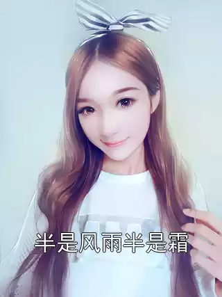 半是风雨半是霜小说