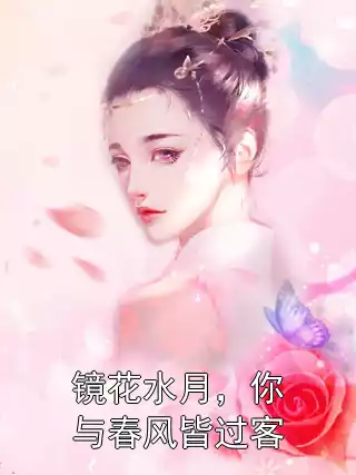 镜花水月，你与春风皆过客小说