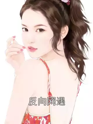 反向网遇小说