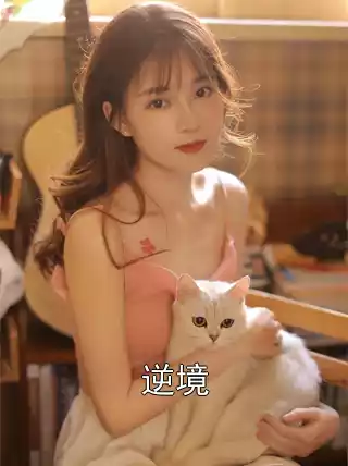 逆境
