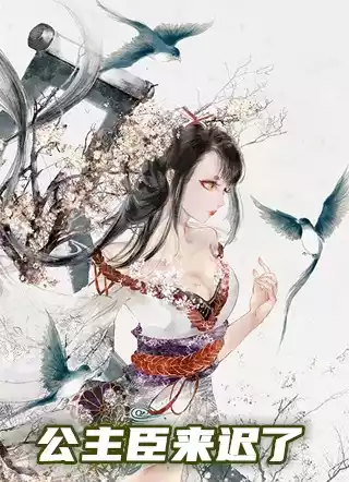 公主臣来迟了