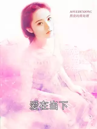 爱在当下小说