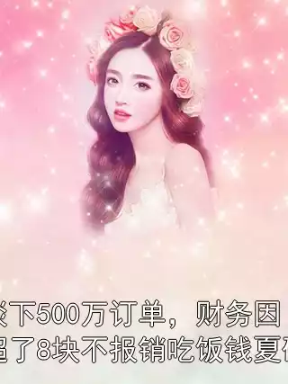 谈下500万订单，财务因超了8块不报销吃饭钱夏研小说