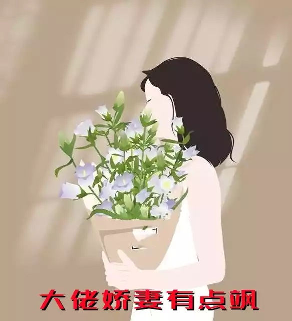 大佬娇妻有点飒
