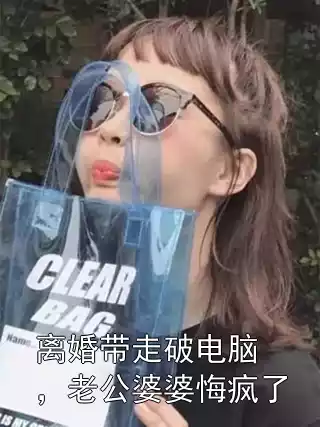 离婚带走破电脑，老公婆婆悔疯了小说