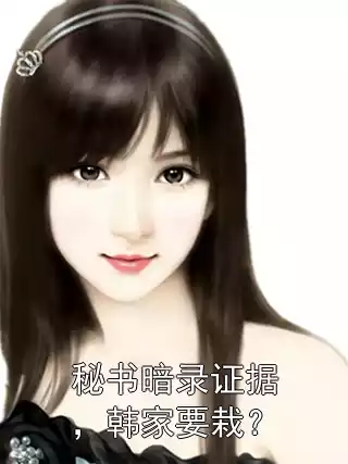 秘书暗录证据，韩家要栽？小说