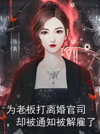 为老板打离婚官司，却被通知被解雇了小说