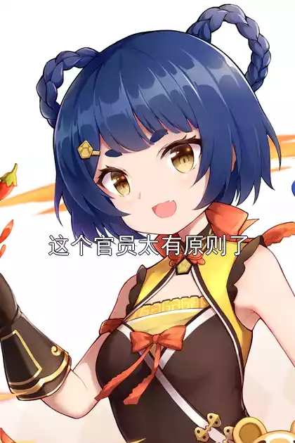 这个官员太有原则了小说