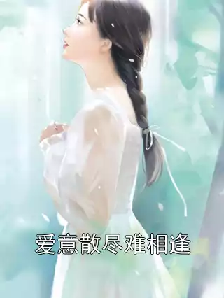 爱意散尽难相逢小说