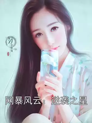 网暴风云：逆袭之星小说