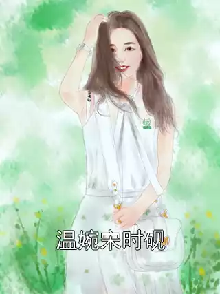 温婉宋时砚小说