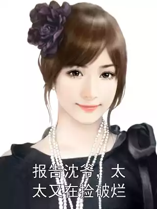 报告沈爷，太太又在捡破烂小说