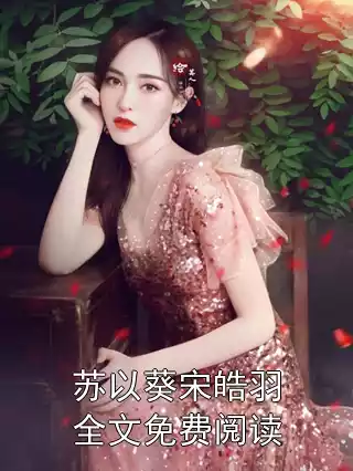 苏以葵宋皓羽全文免费阅读