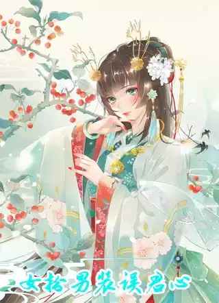 女扮男装误君心