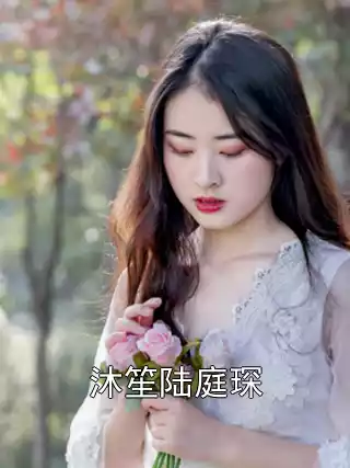 沐笙陆庭琛小说