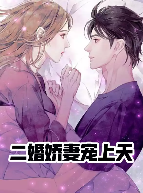 二婚娇妻宠上天小说