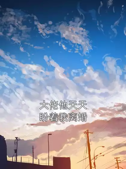 大佬他天天盼着我离婚