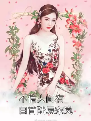 不信人间有白首陆辰宋岚