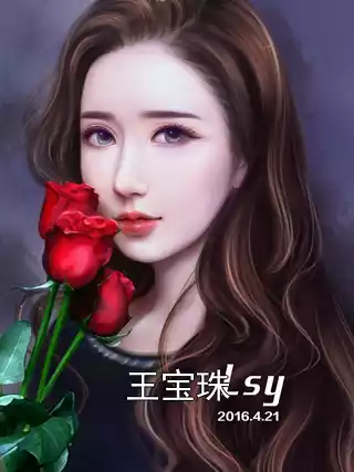 王宝珠小说