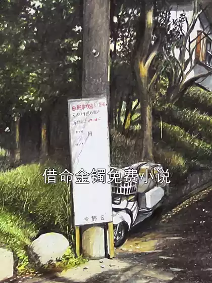 借命金镯免费小说