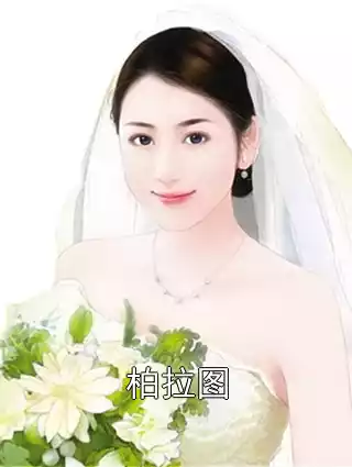柏拉图小说
