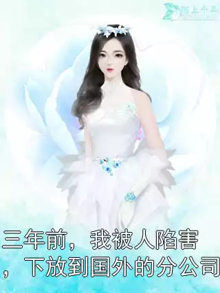 三年前，我被人陷害，下放到国外的分公司小说