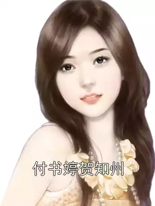 付书婷贺知州小说